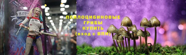 мдпв Карталы