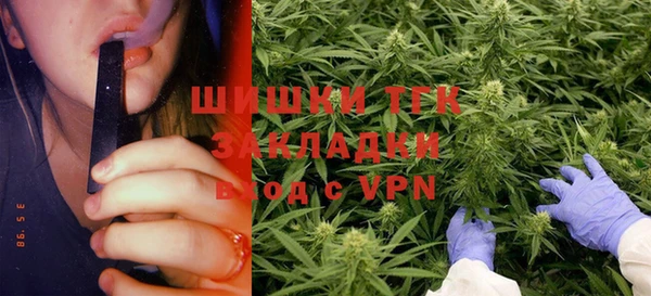 мдпв Карталы