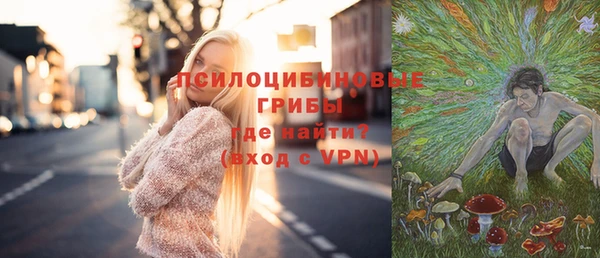 мдпв Карталы