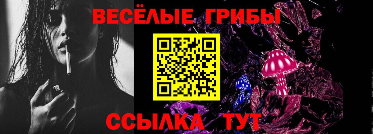 Галлюциногенные грибы Psilocybe  Вход с VPN  Псилоцибиновые грибы прущие грибы  Сибай 